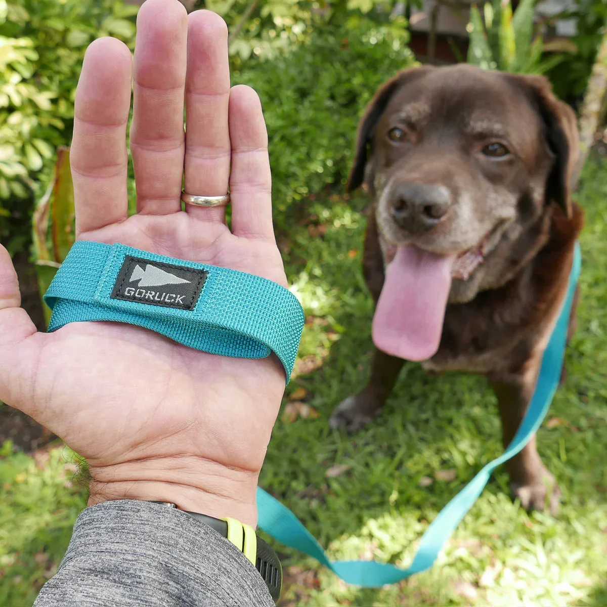 Dog Leash